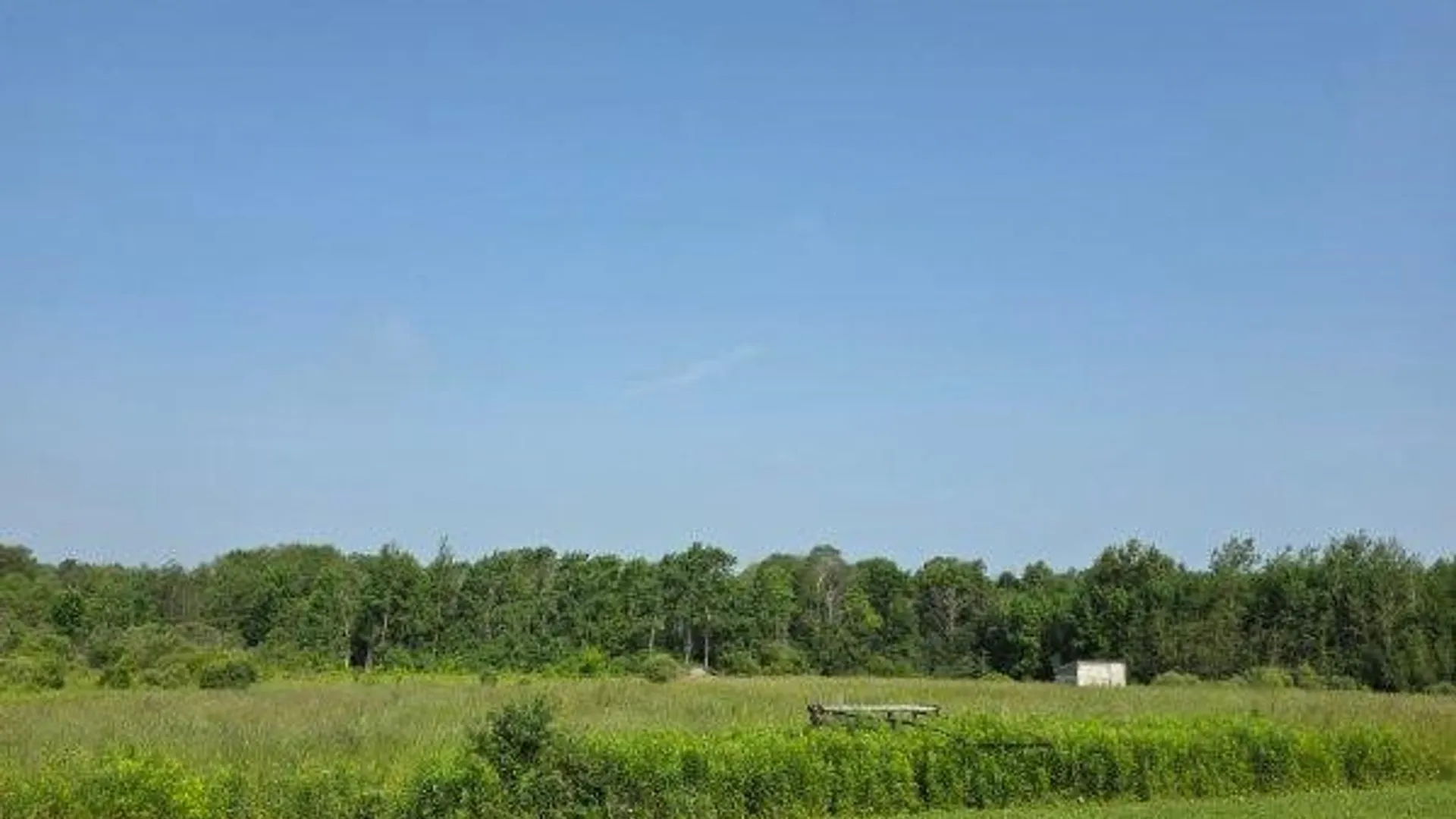 Property at 3017 State Route 41a, Sempronius, NY 13118 38