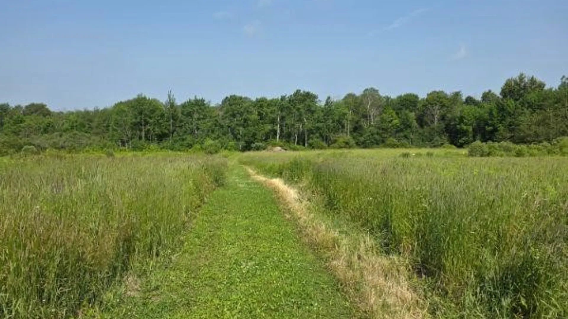 Property at 3017 State Route 41a, Sempronius, NY 13118 40