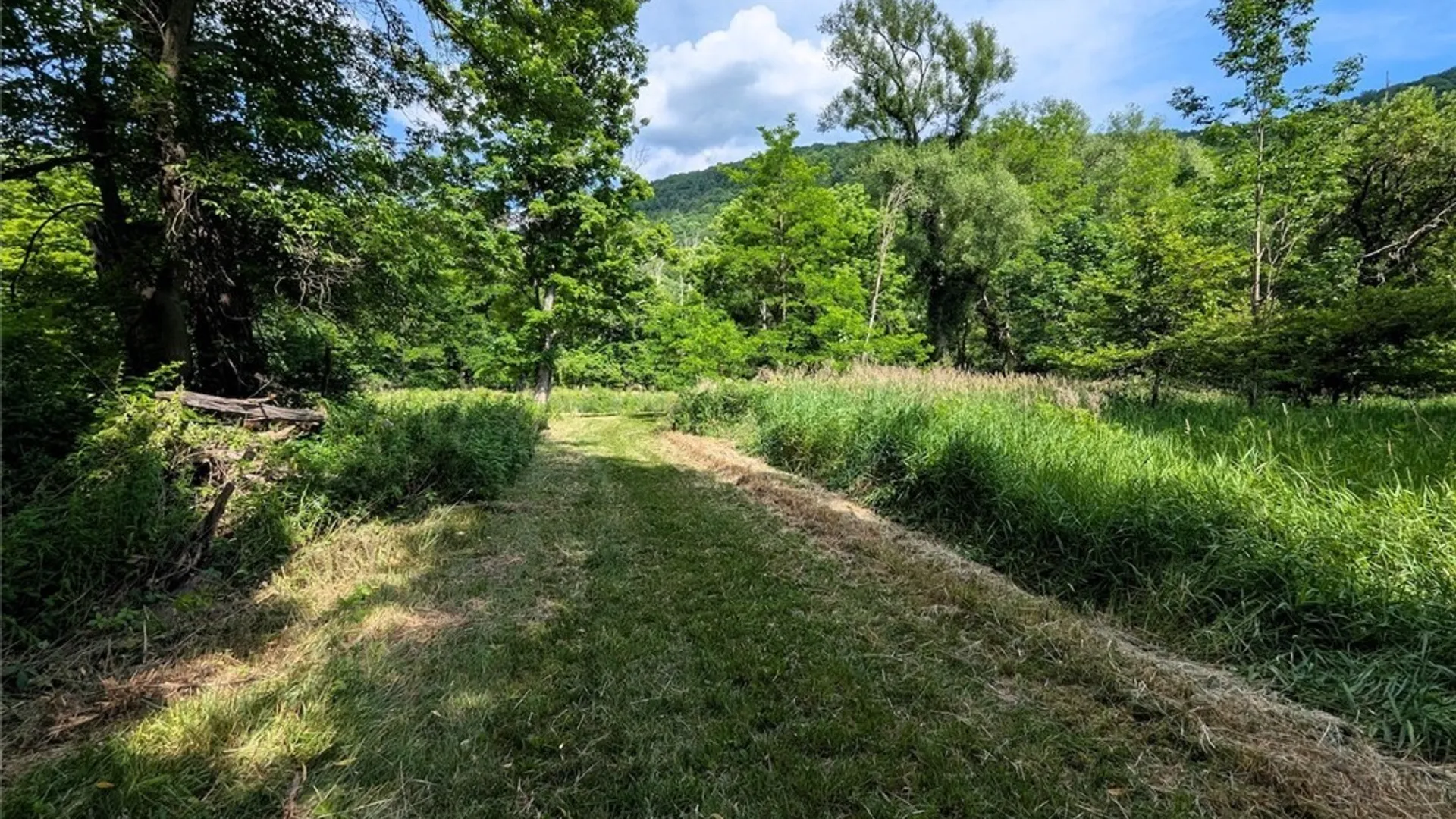 Property at 5430 Meads Creek Road, Campbell, NY 14870 36