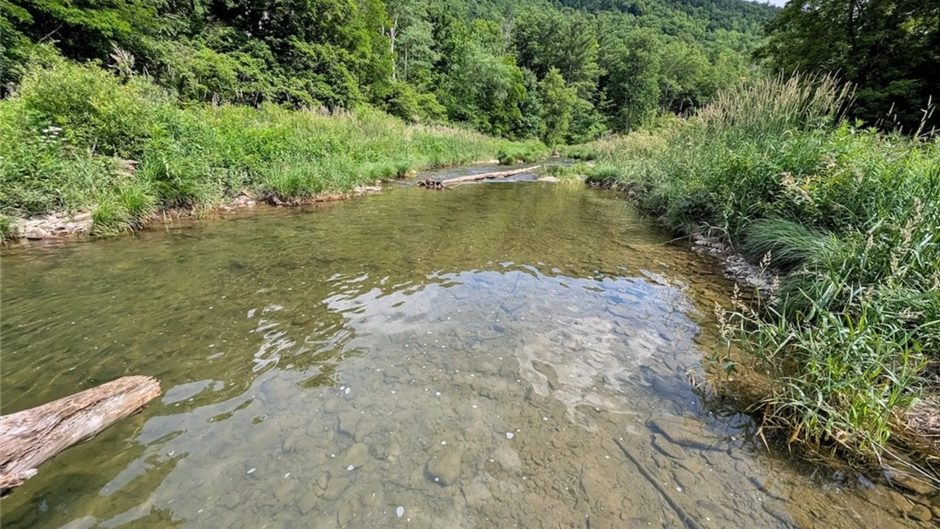 Property at 5430 Meads Creek Road, Campbell, NY 14870 38