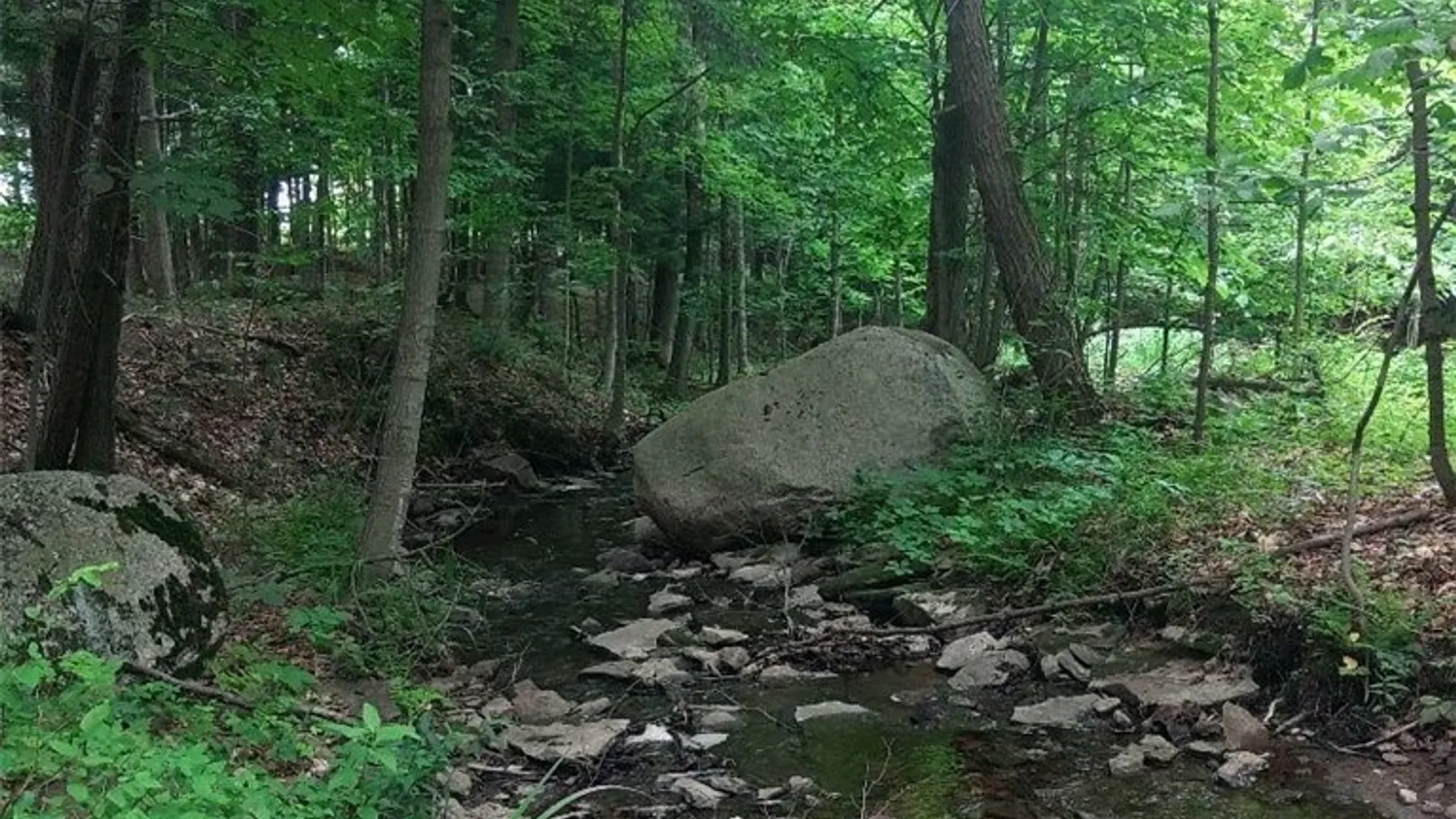 Property at 0 N Lake Road, Champion, NY 13619 2