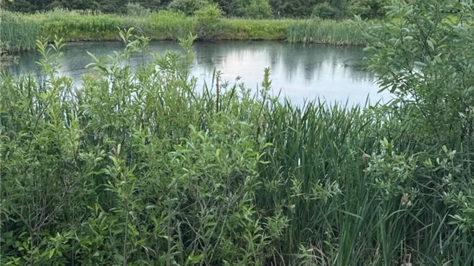 Property at 3669 Cross Road, Reading, NY 14891 22