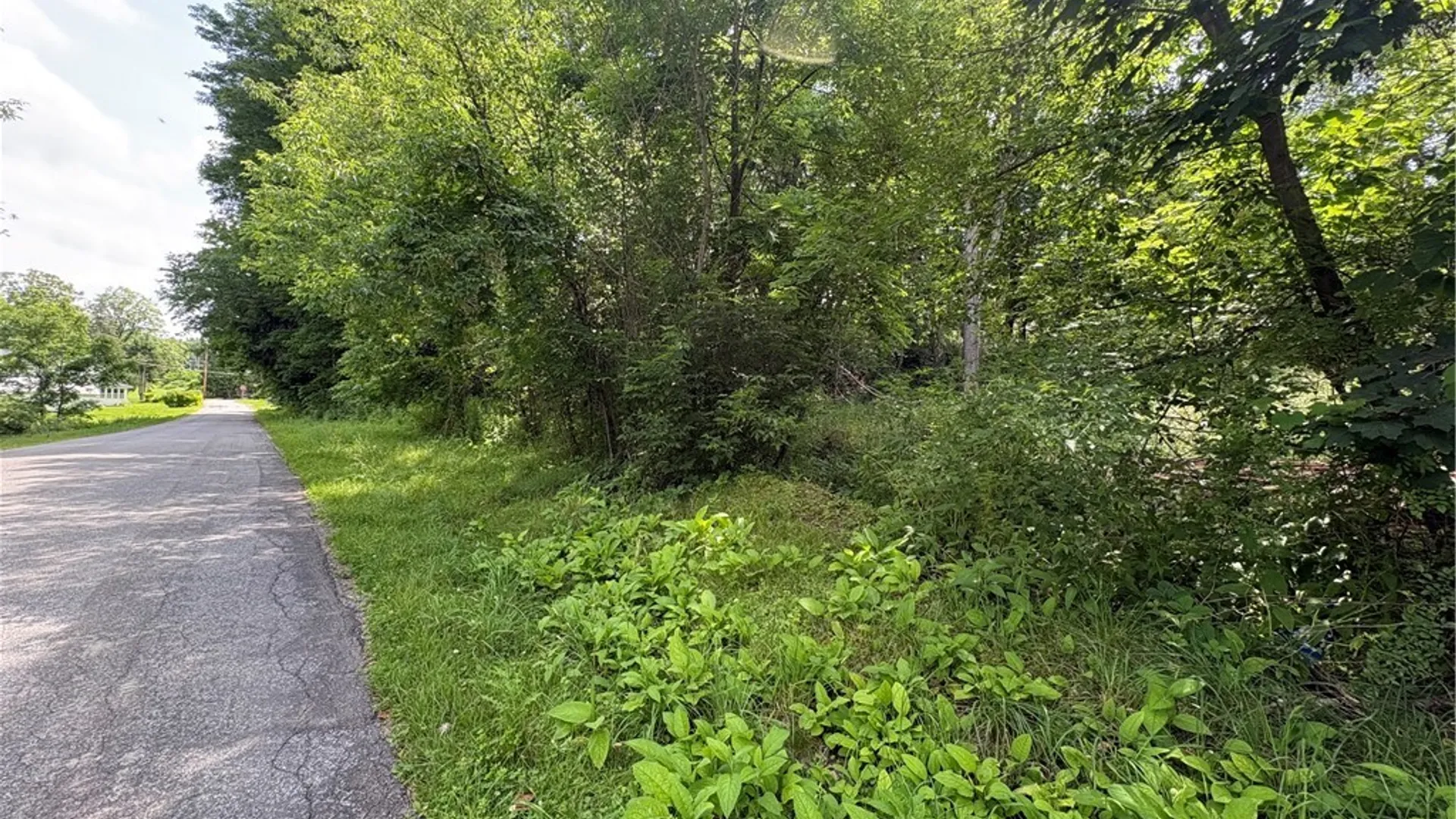 Property at 11557 Mill Street, Hume, NY 14536 8