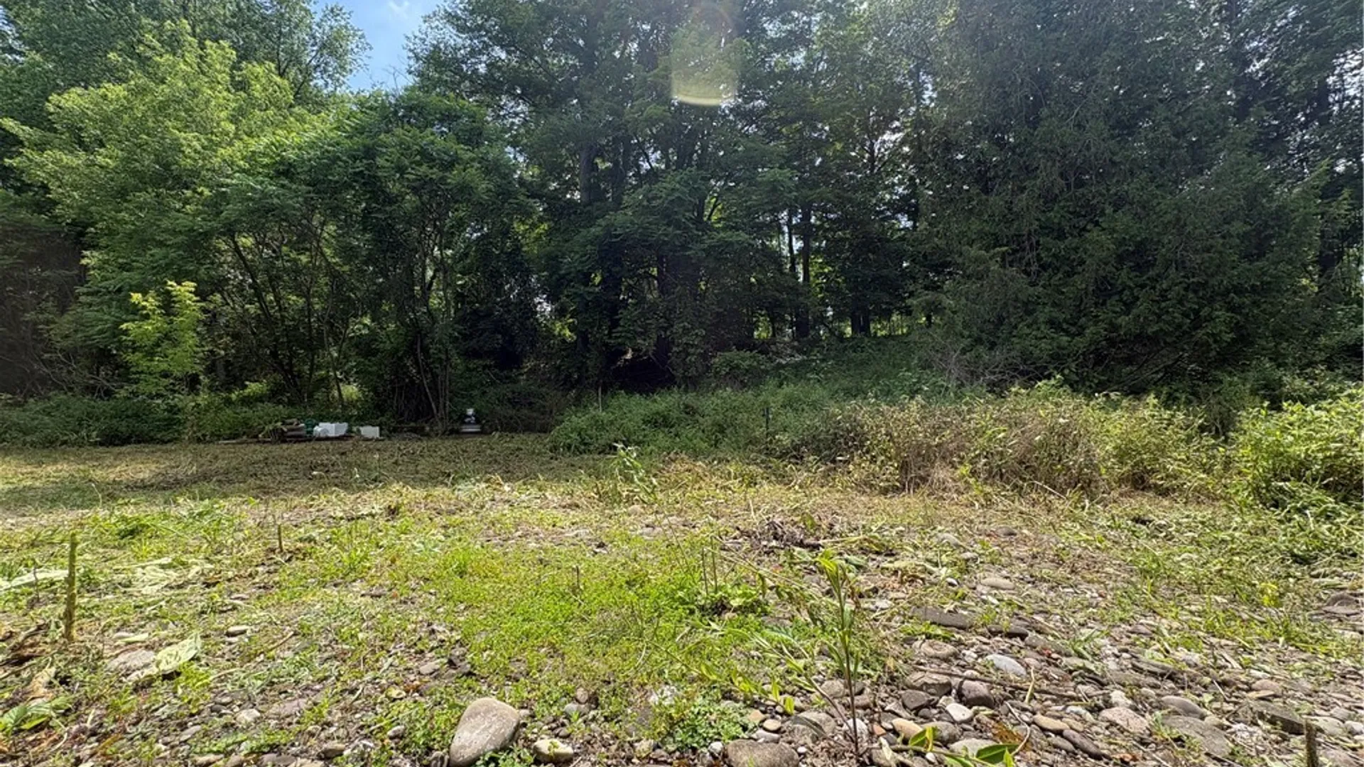 Property at 11557 Mill Street, Hume, NY 14536 3