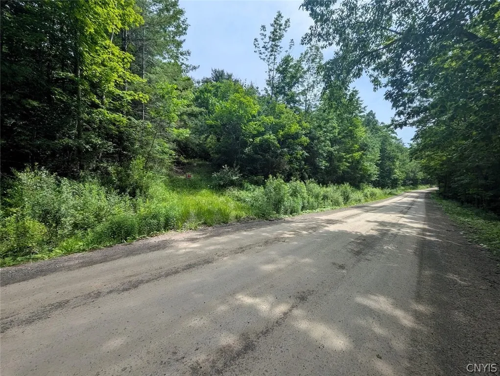 Property at Keifer Hollow Road, Dansville, NY 14437