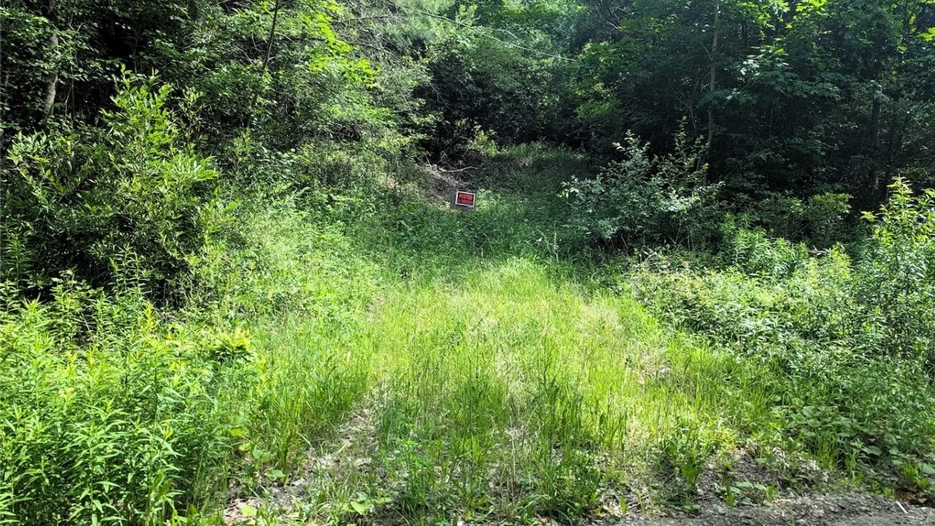 Property at Keifer Hollow Road, Dansville, NY 14437 2