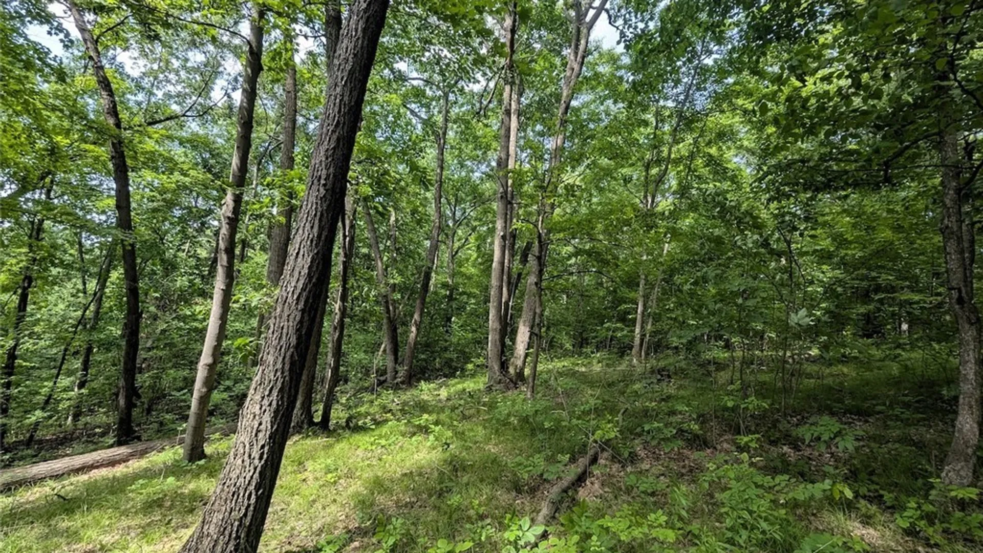 Property at Keifer Hollow Road, Dansville, NY 14437 12