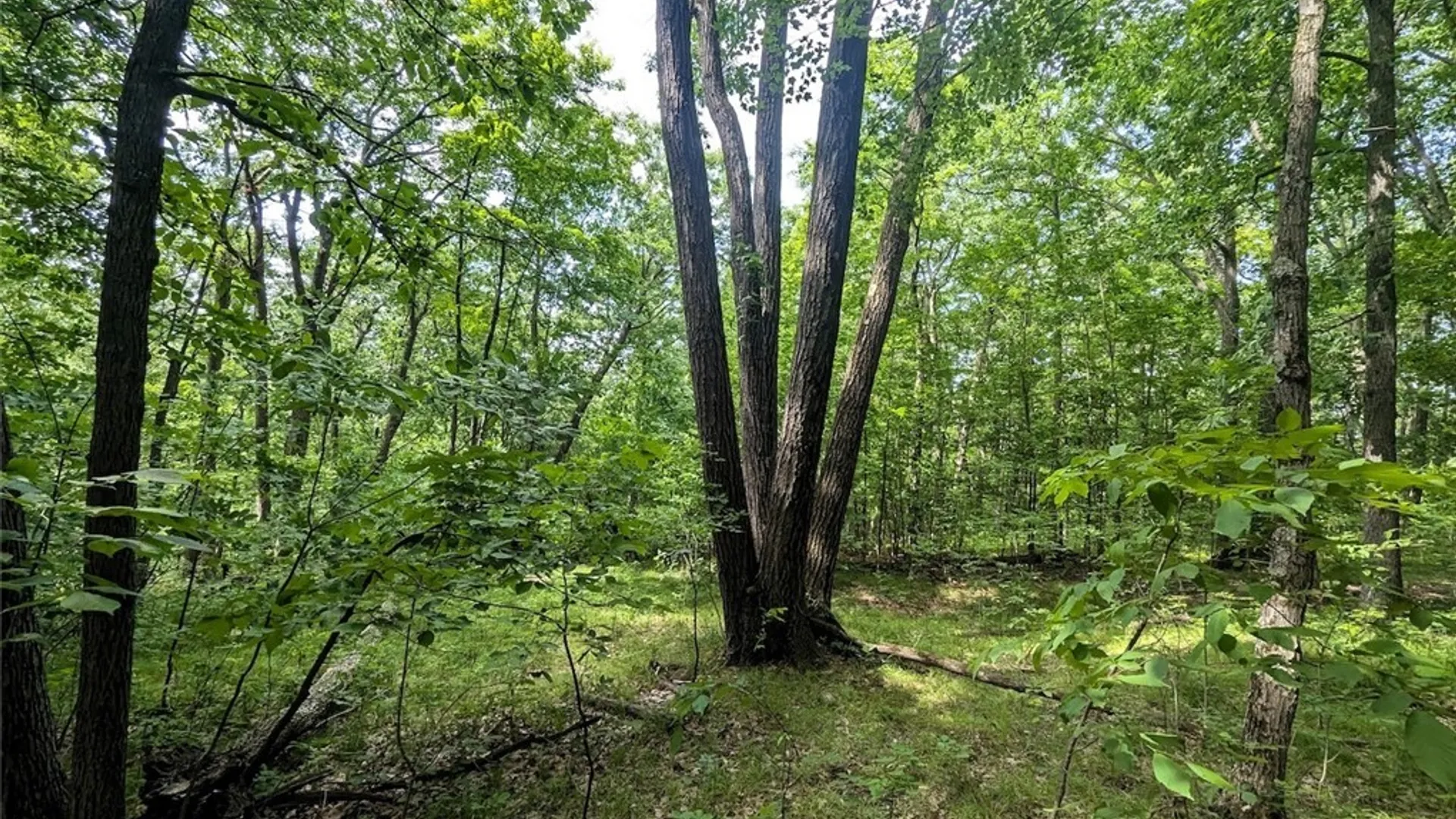 Property at Keifer Hollow Road, Dansville, NY 14437 14
