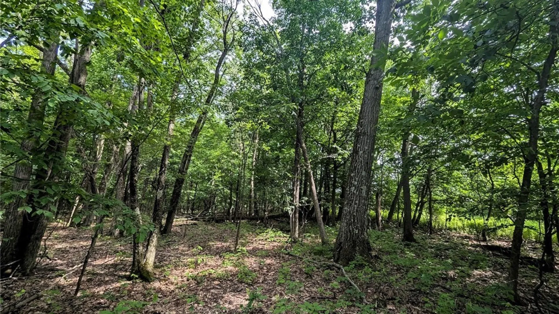 Property at Keifer Hollow Road, Dansville, NY 14437 17