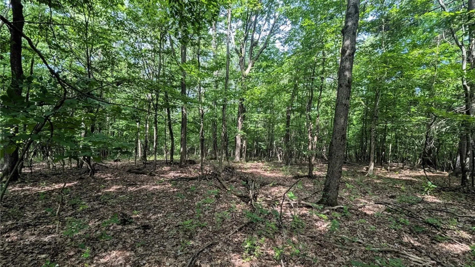 Property at Keifer Hollow Road, Dansville, NY 14437 18