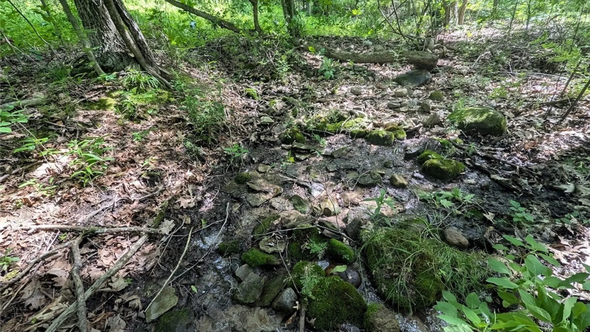 Property at Keifer Hollow Road, Dansville, NY 14437 22