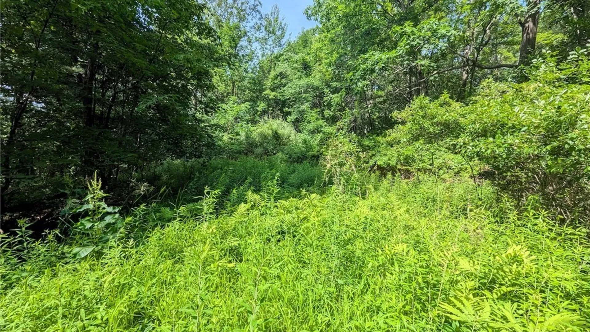 Property at Keifer Hollow Road, Dansville, NY 14437 28