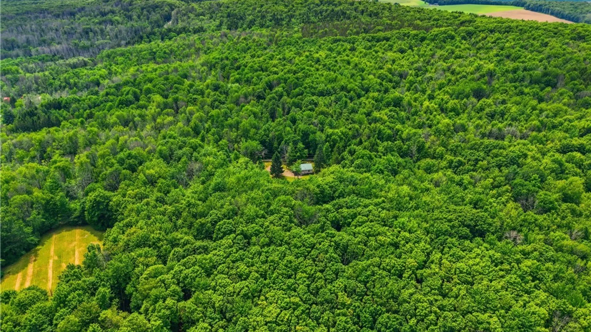 Property at 8770 Barber Road, Rushford, NY 14717 30
