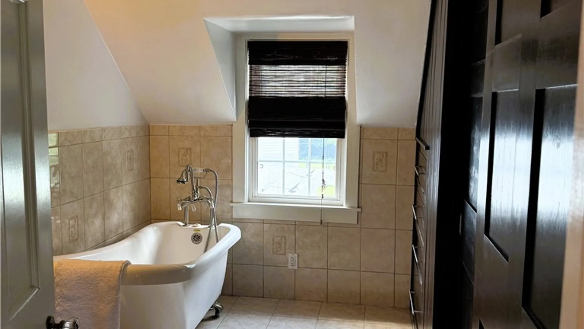 Property at 209 E Washington Street, Bath, NY 14810 27