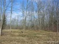 Property at 4455 S Ayers Road, Newstead, NY 14001