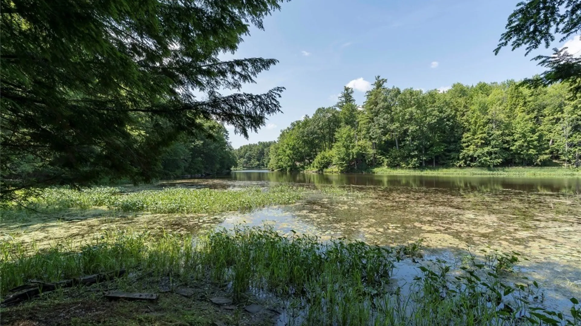 Property at Trickey Road, Theresa, NY 13691 8