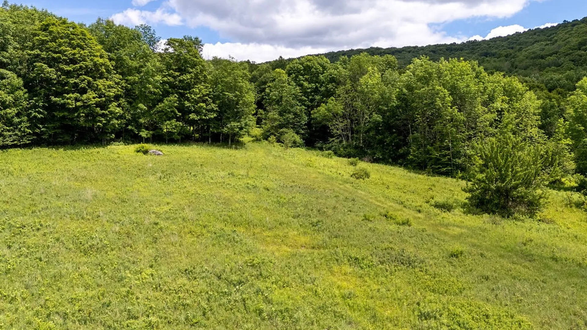 Property at 3190 County Highway 22, Walton, NY 13856 38