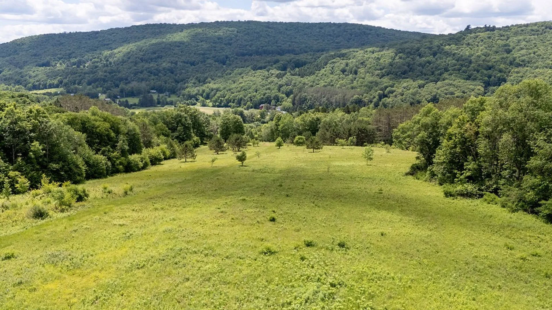 Property at 3190 County Highway 22, Walton, NY 13856 39