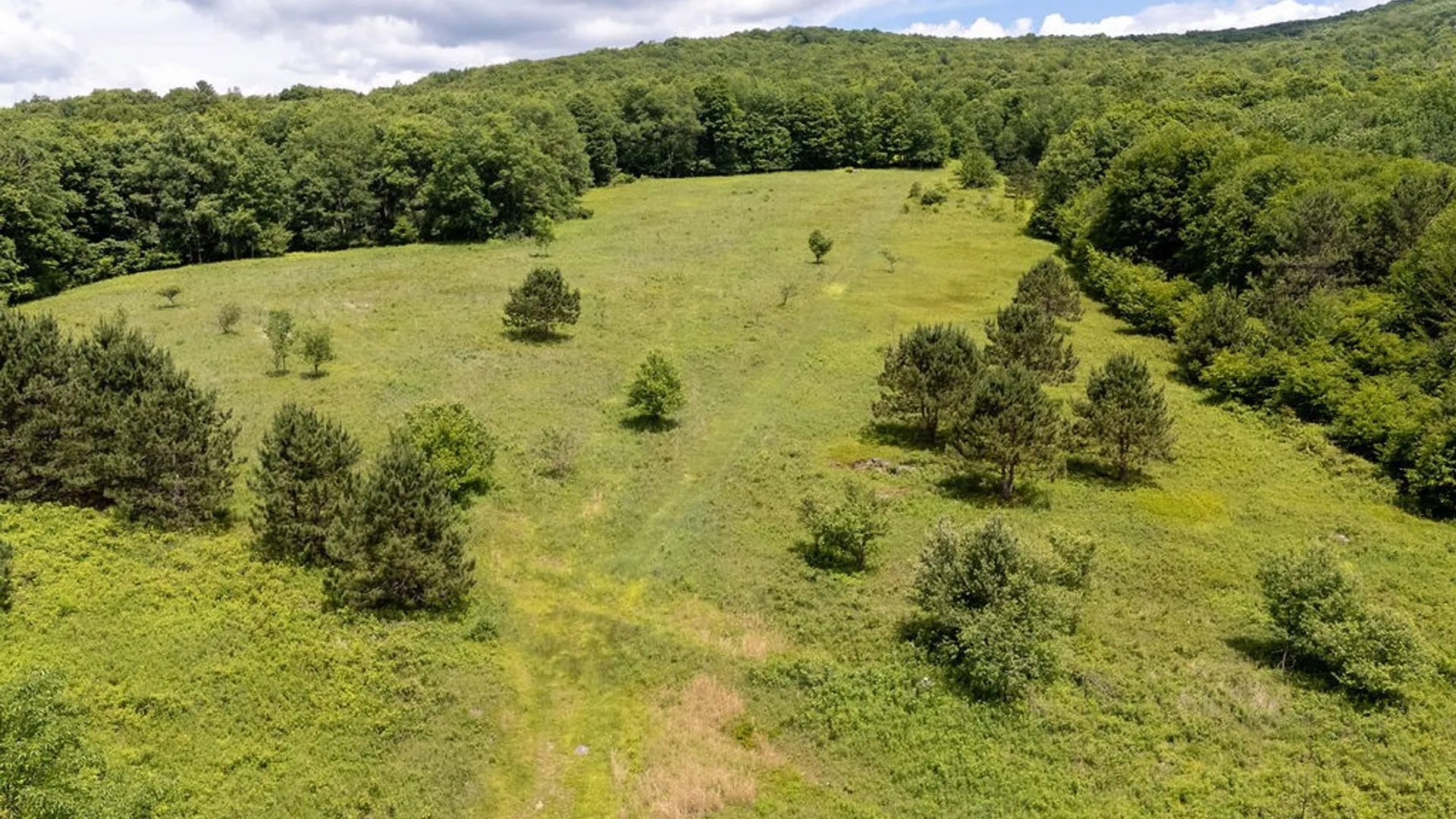 Property at 3190 County Highway 22, Walton, NY 13856 41