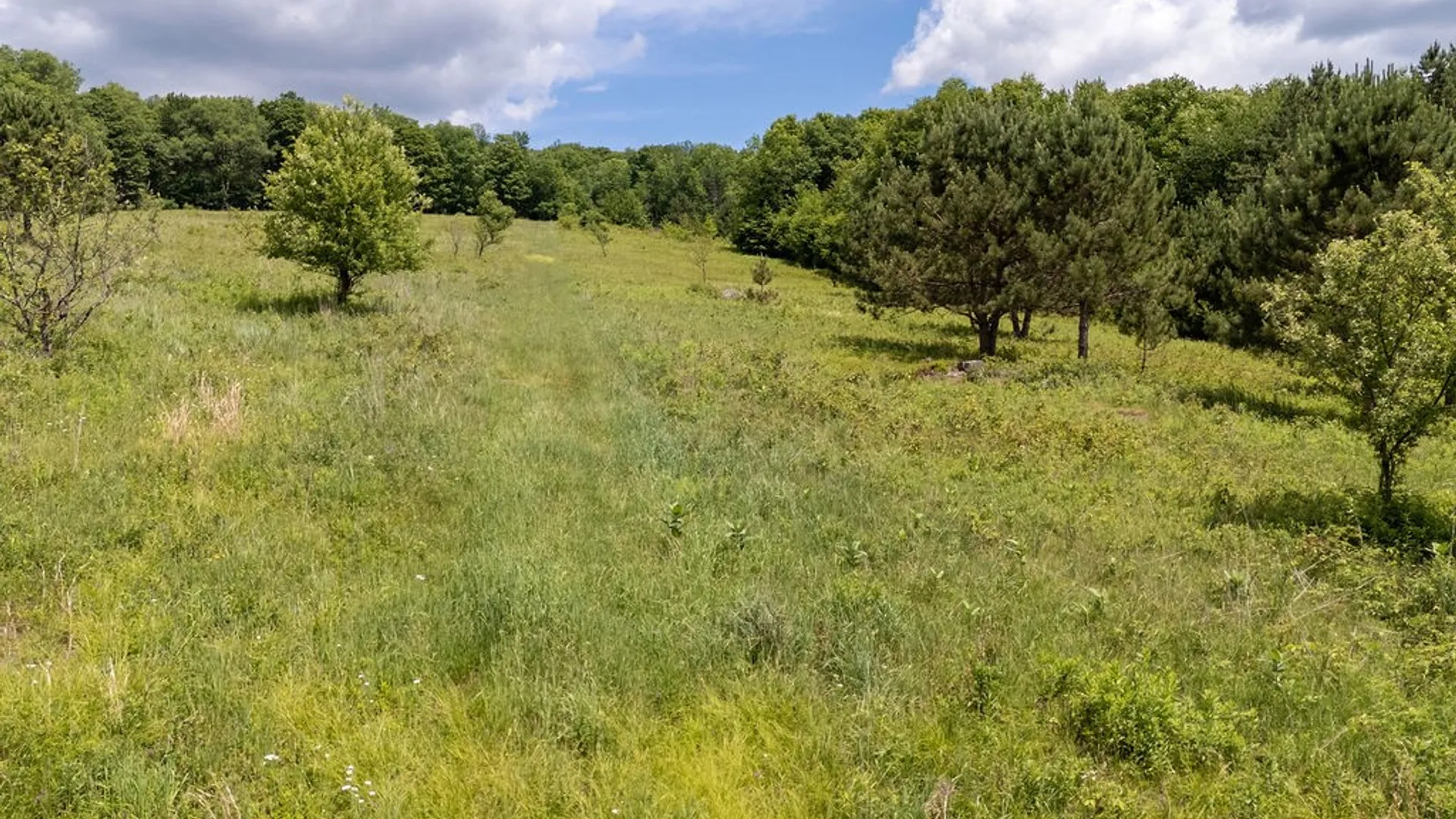 Property at 3190 County Highway 22, Walton, NY 13856 42