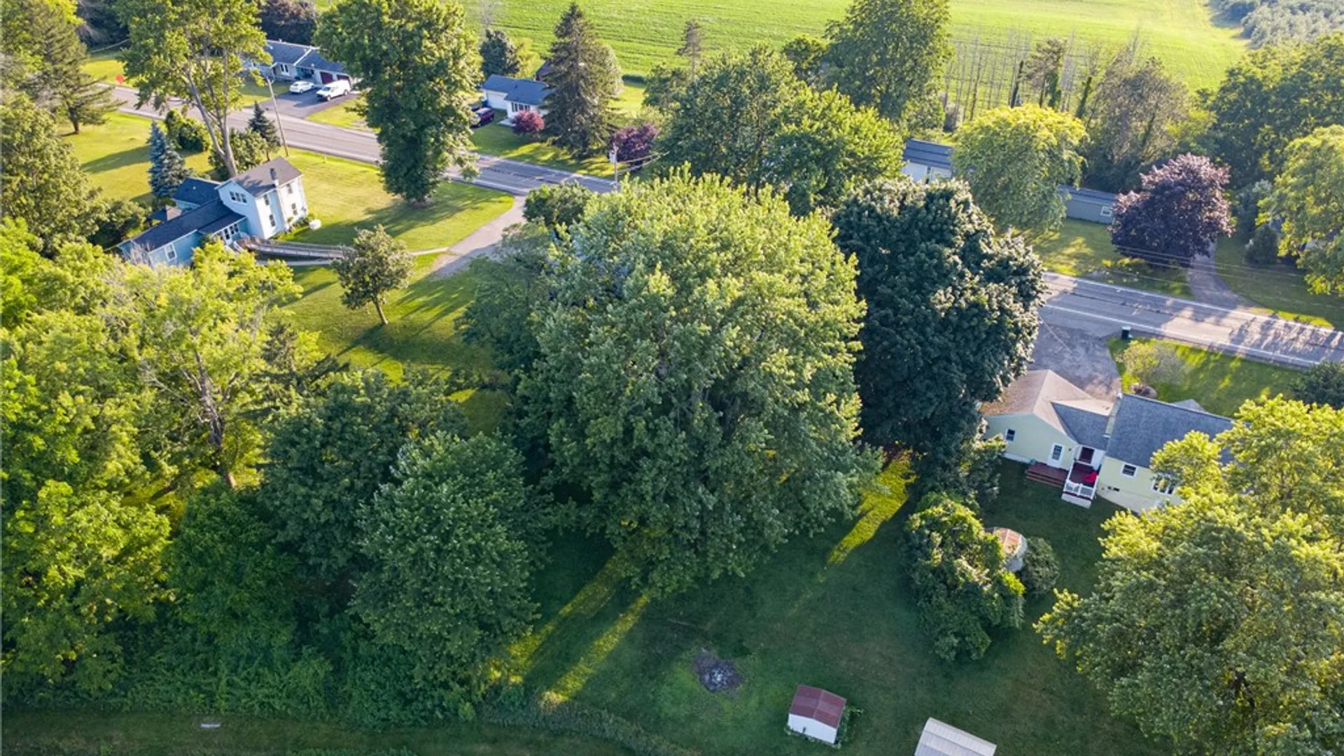 Property at 4338 Williamson Road, Marion, NY 14505 28