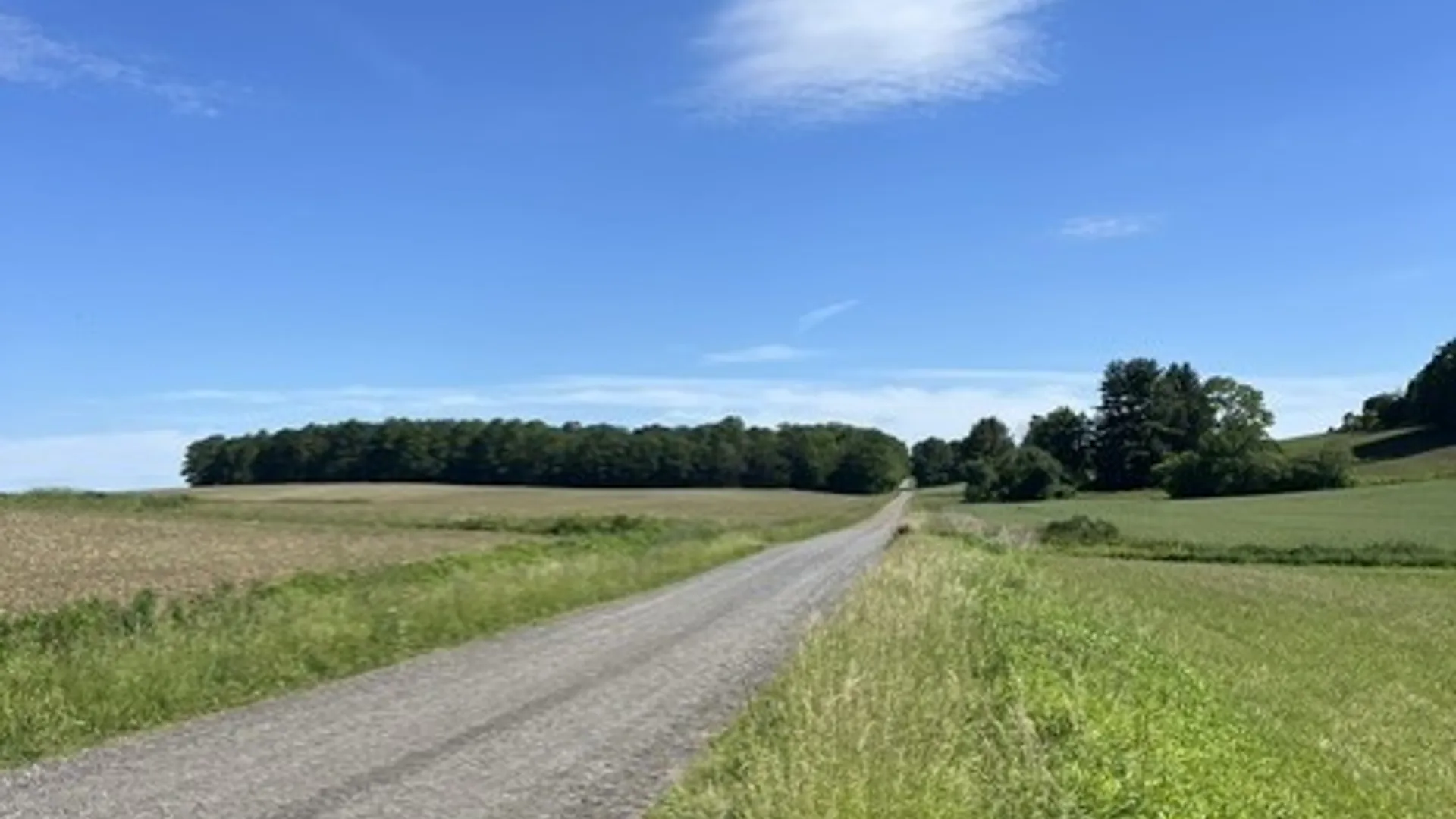 Property at 8539 Quanz Road, Springwater, NY 14560 6