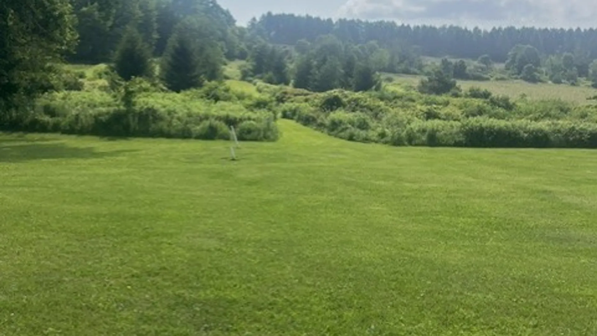 Property at 8539 Quanz Road, Springwater, NY 14560 16