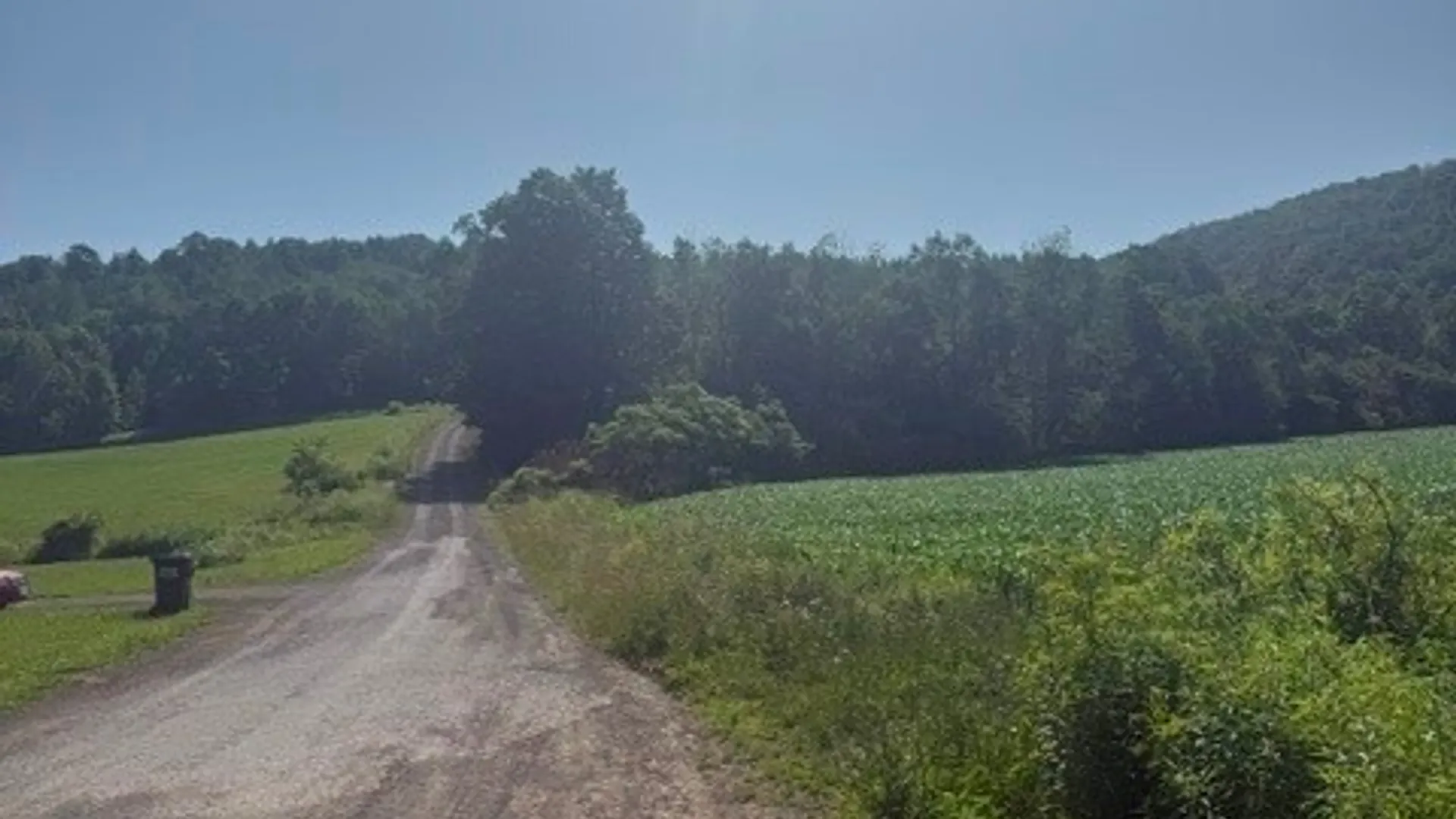 Property at Wothe Freeman Road, Lincklaen, NY 13052 3