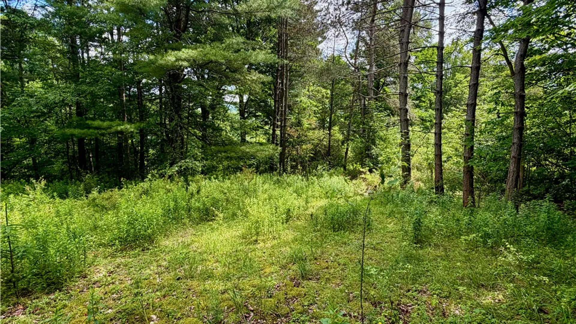 Property at 000 Ellis Hollow Road, Dryden, NY 14850 7