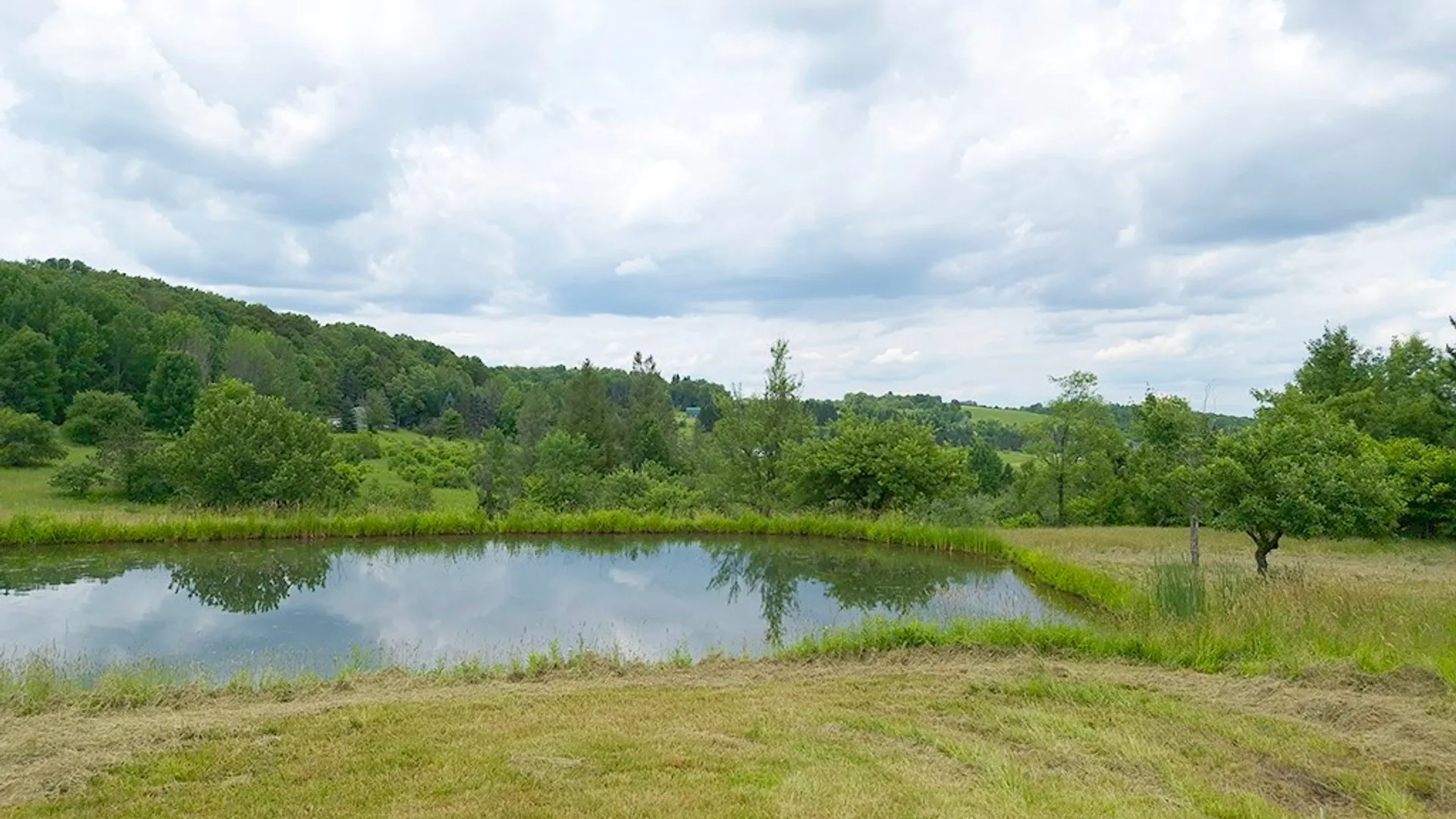 Property at 3923 Tamarack Ridge Road, Franklinville, NY 14737 29
