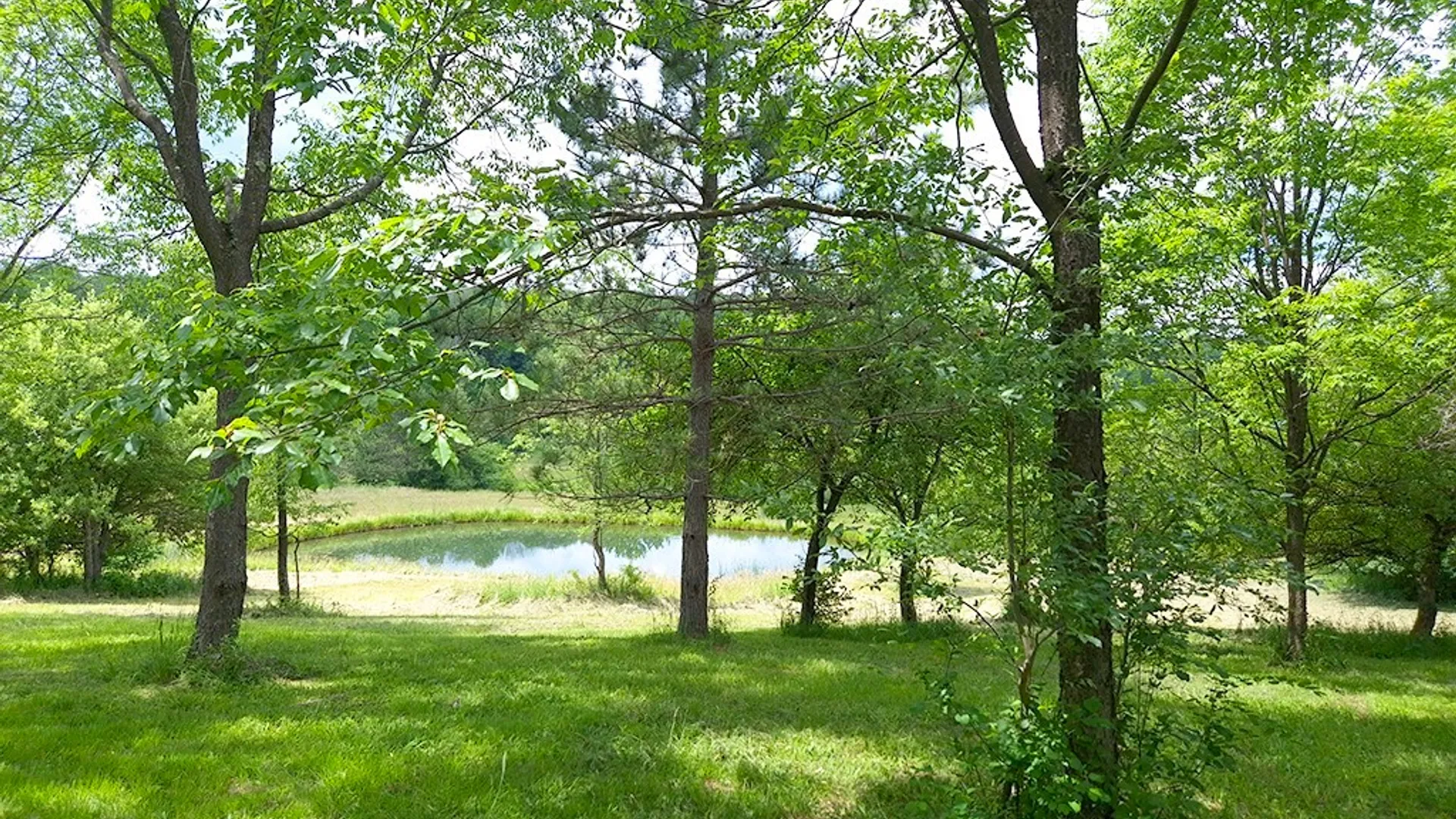 Property at 3923 Tamarack Ridge Road, Franklinville, NY 14737 31