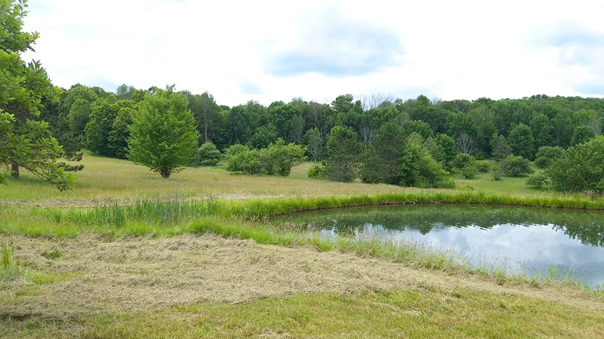 Property at 3923 Tamarack Ridge Road, Franklinville, NY 14737 28