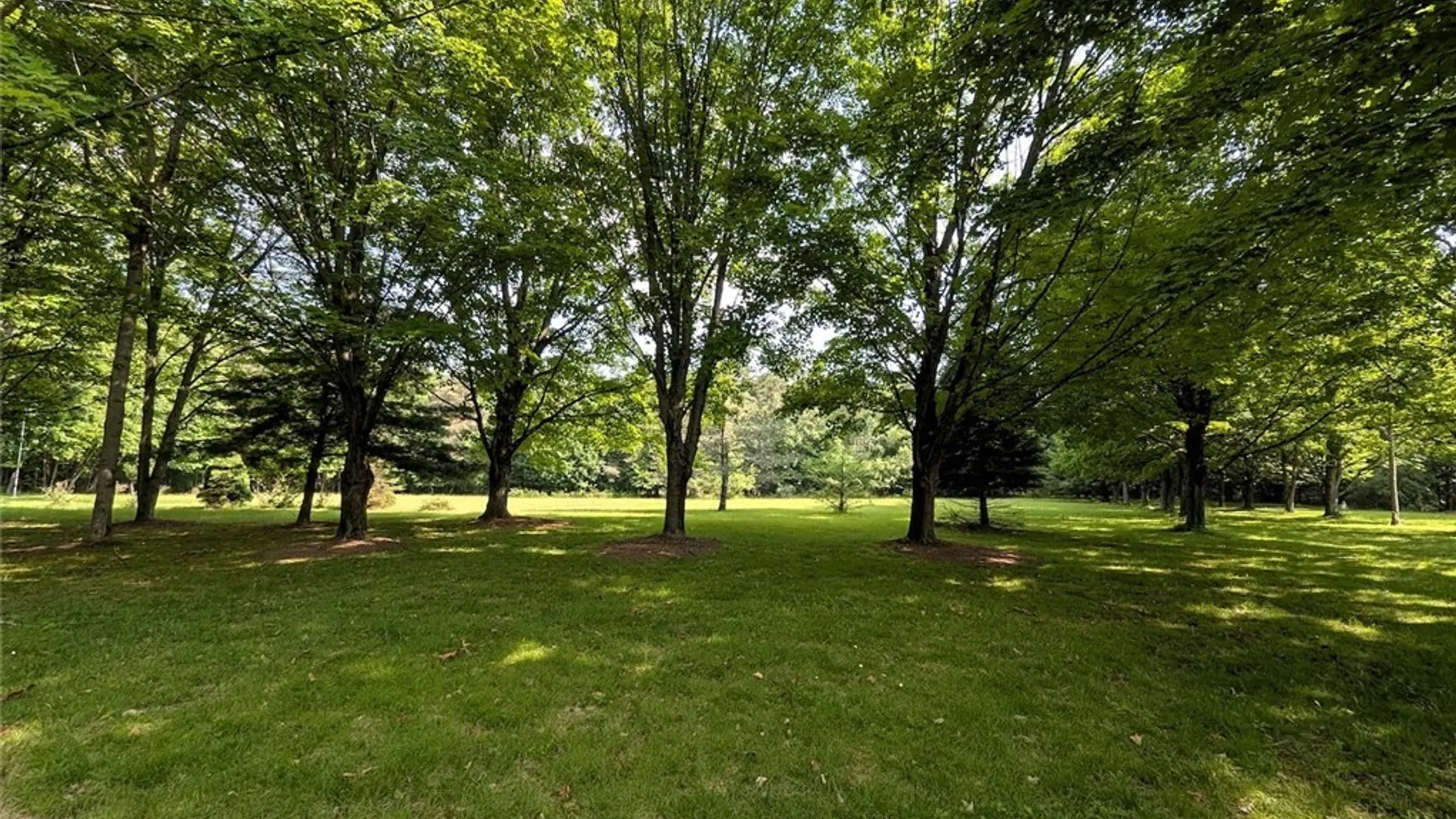 Property at 8880 Hemlock Road, Wheeler, NY 14809 3