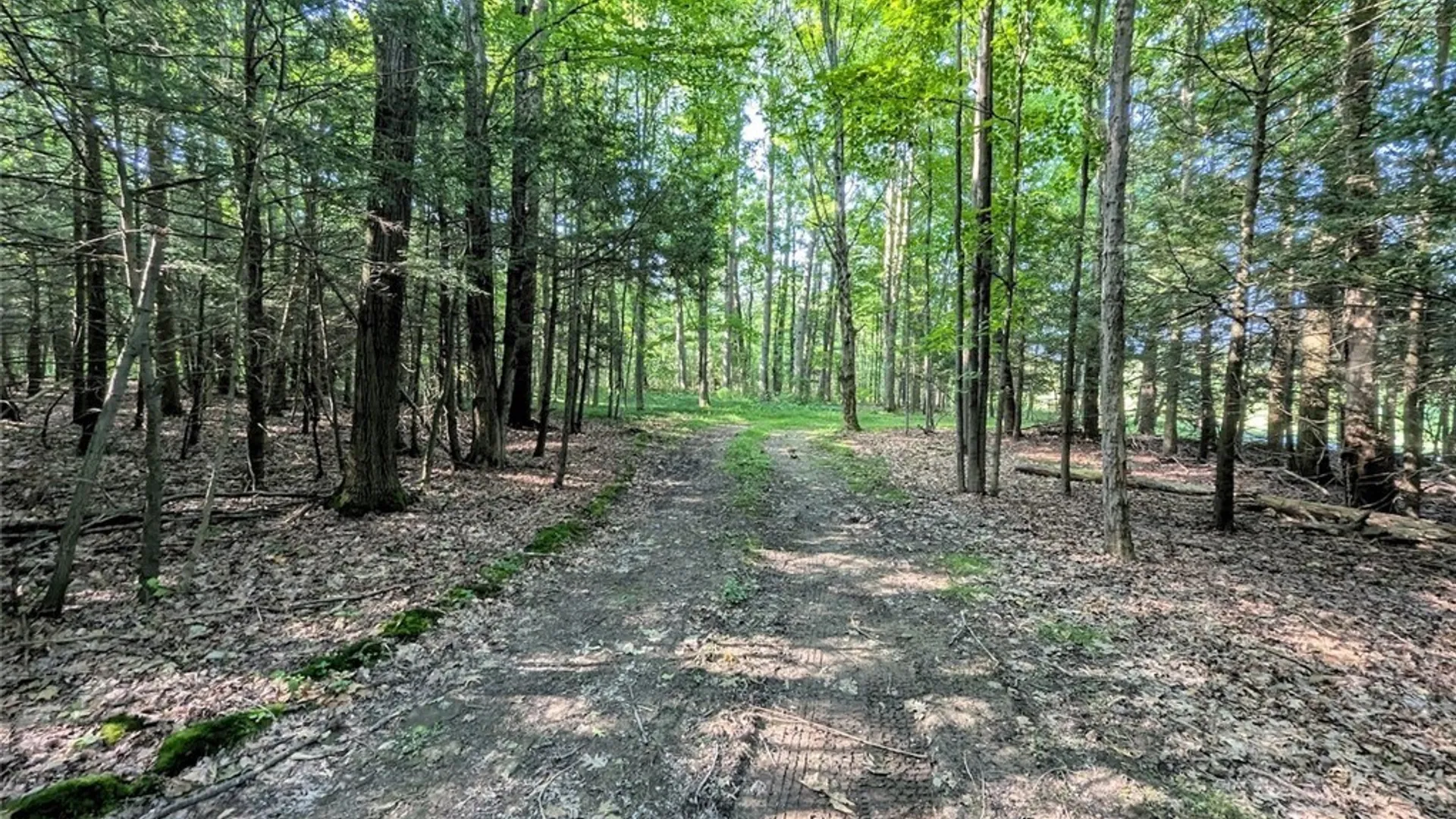 Property at 8880 Hemlock Road, Wheeler, NY 14809 41