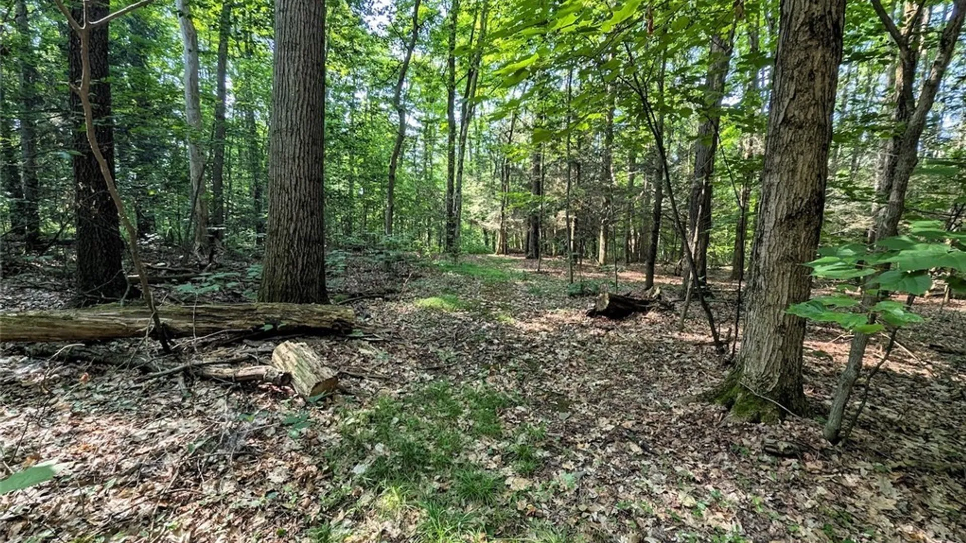 Property at 8880 Hemlock Road, Wheeler, NY 14809 26