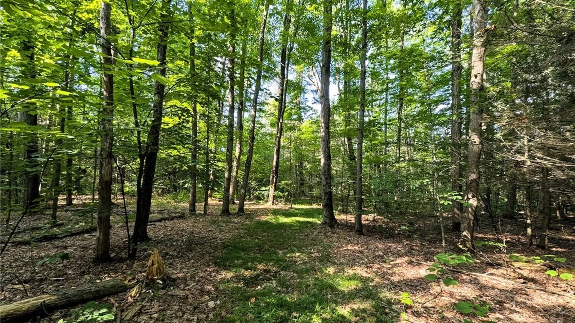 Property at 8880 Hemlock Road, Wheeler, NY 14809 27