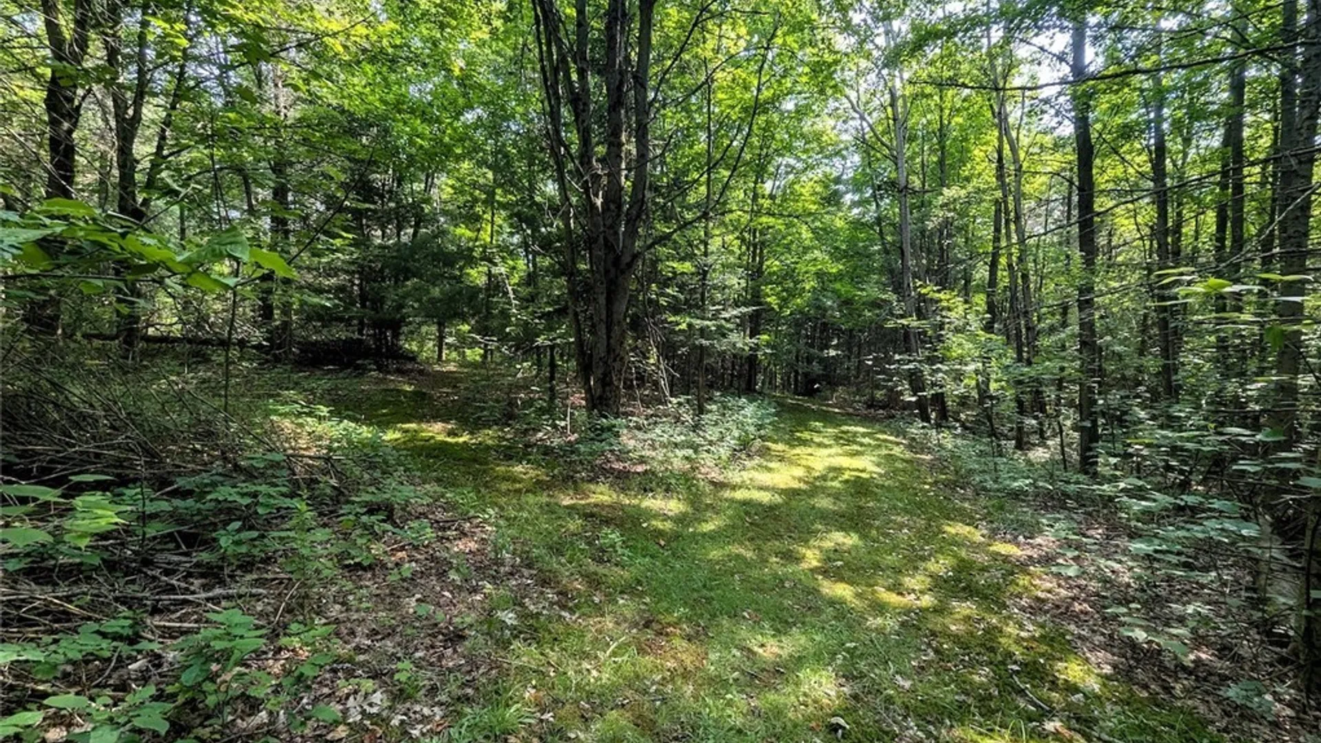Property at 8880 Hemlock Road, Wheeler, NY 14809 30
