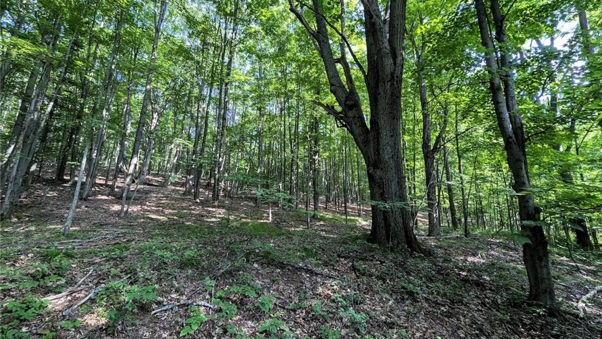 Property at 8880 Hemlock Road, Wheeler, NY 14809 31