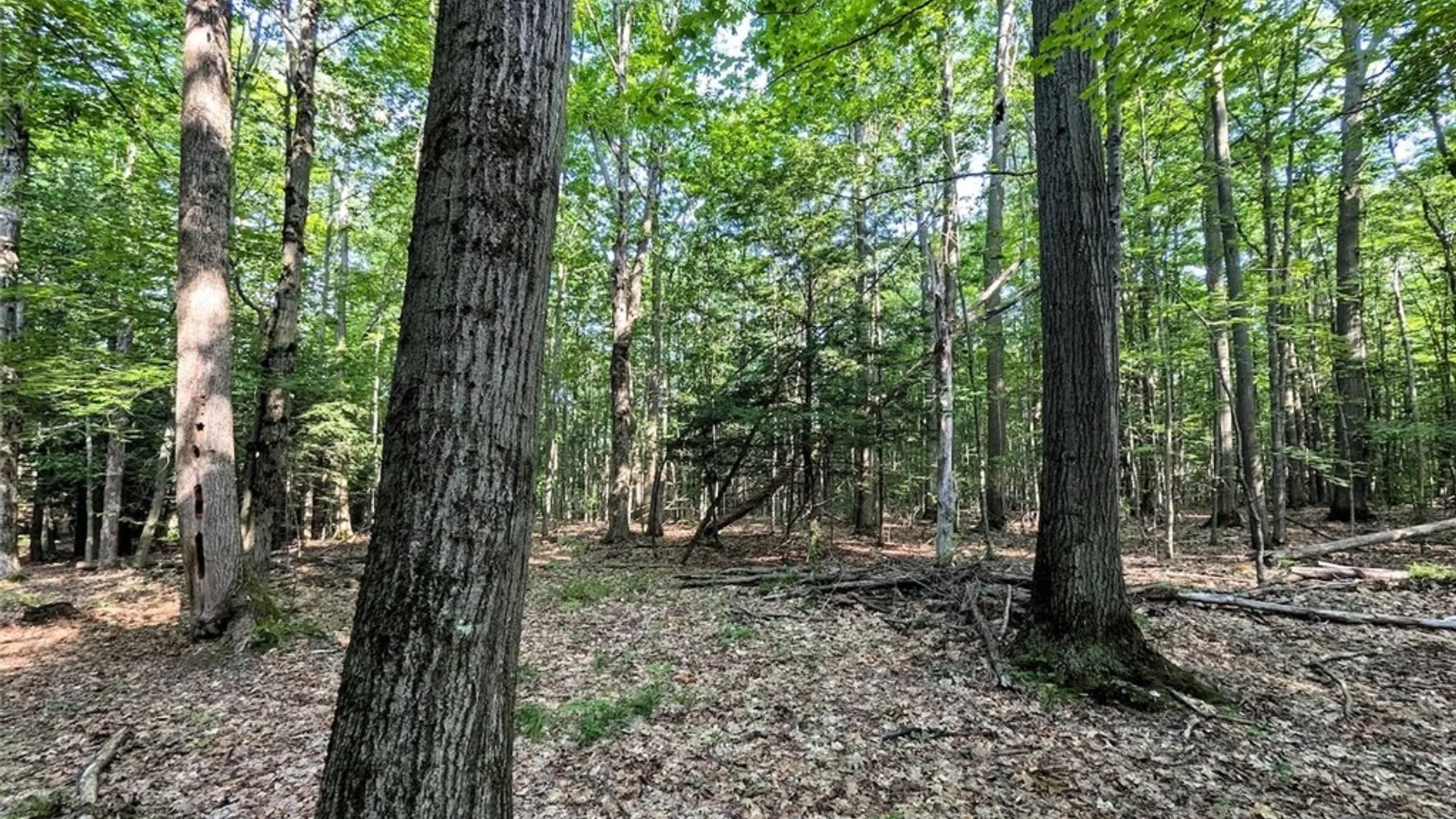 Property at 8880 Hemlock Road, Wheeler, NY 14809 32