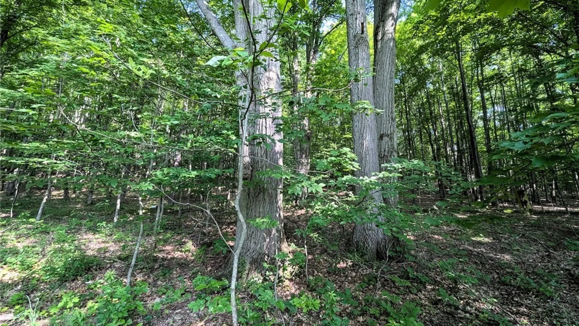 Property at 8880 Hemlock Road, Wheeler, NY 14809 34
