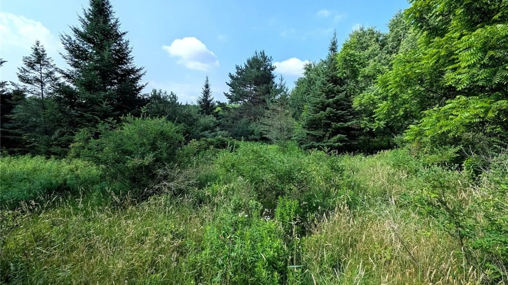 Property at 8880 Hemlock Road, Wheeler, NY 14809 37