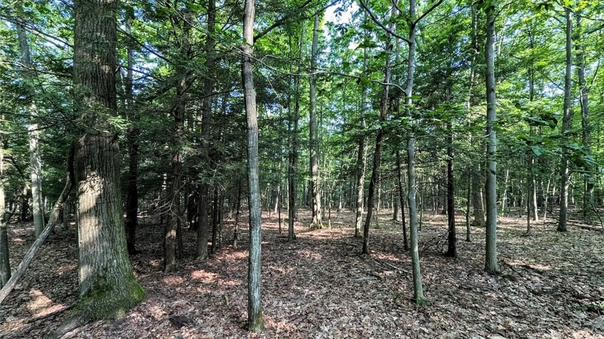 Property at 8880 Hemlock Road, Wheeler, NY 14809 38