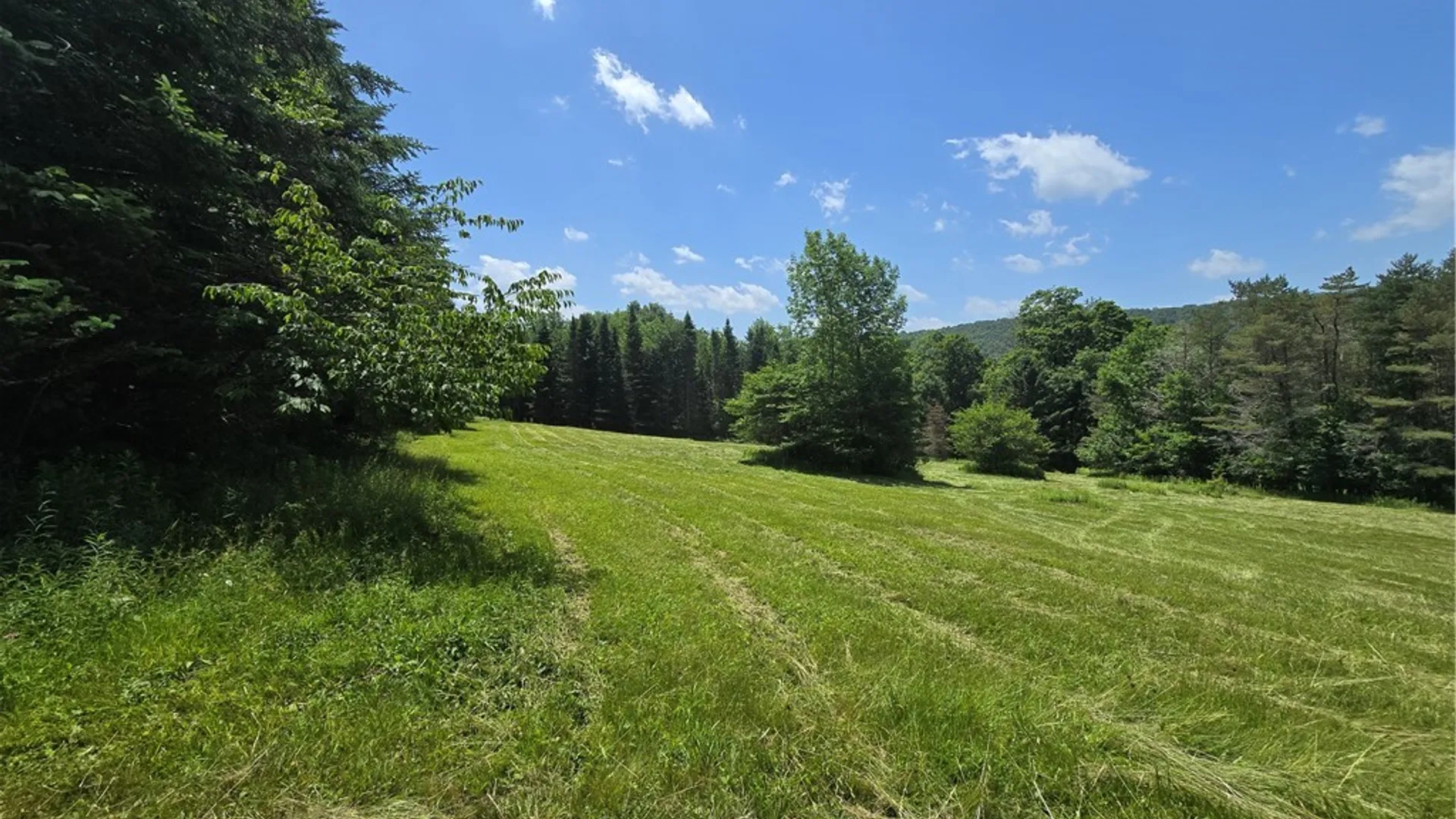 Property at 3074 State Road, Andes, NY 13731 11