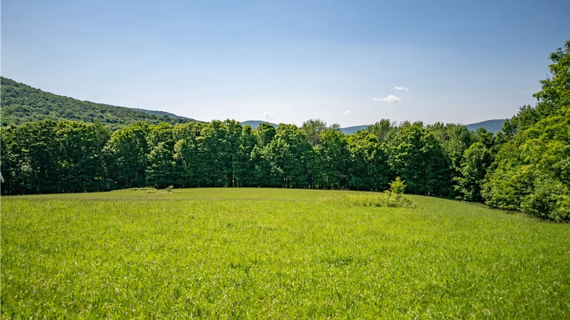Property at Lot 43 Tower Mountain Road, Stamford, NY 12167 4