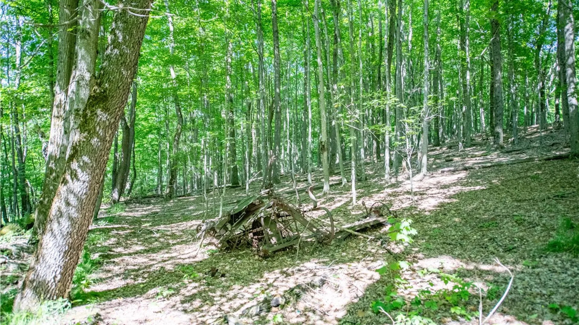 Property at Lot 43 Tower Mountain Road, Stamford, NY 12167 9