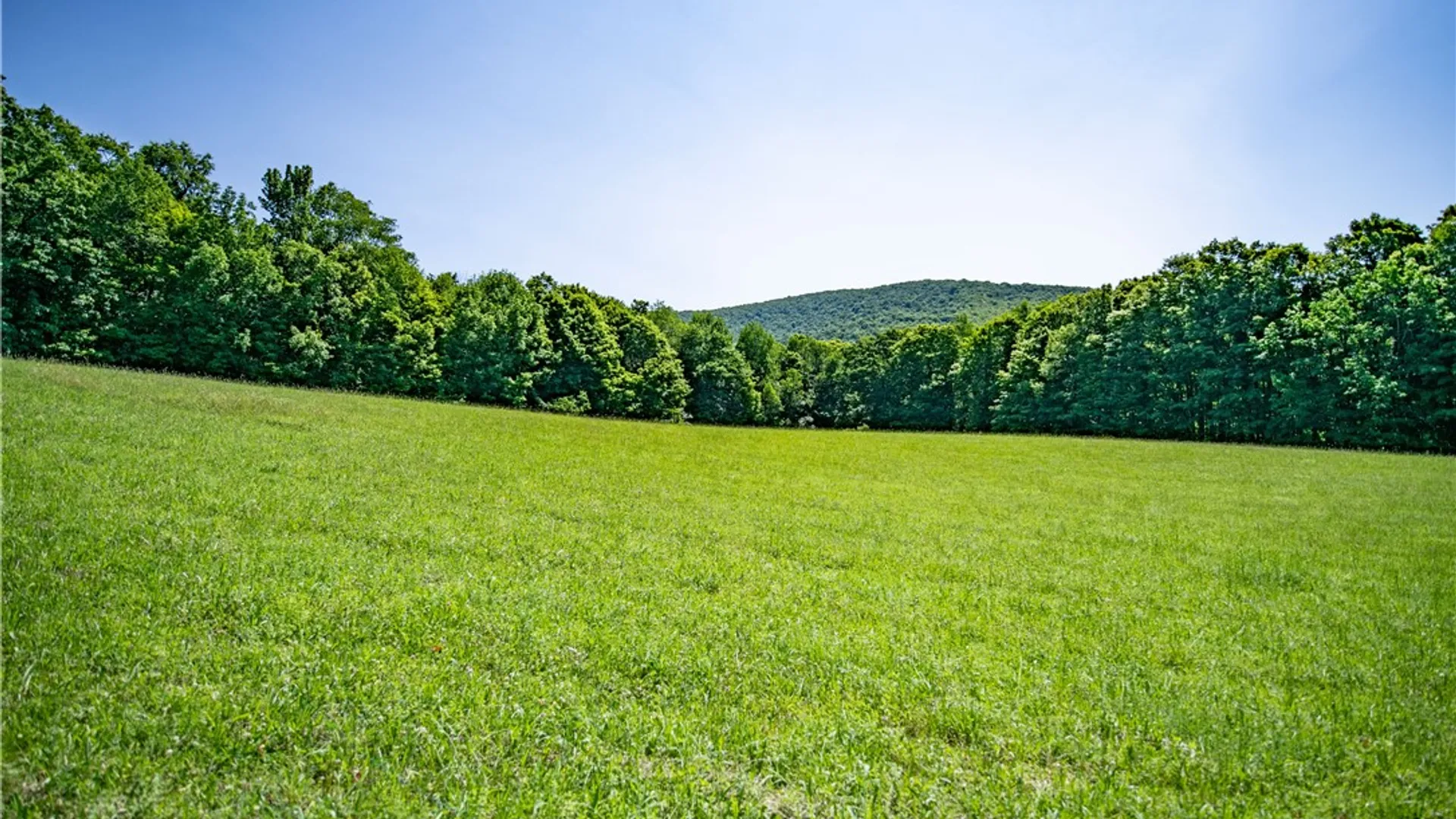 Property at Lot 43 Tower Mountain Road, Stamford, NY 12167 10