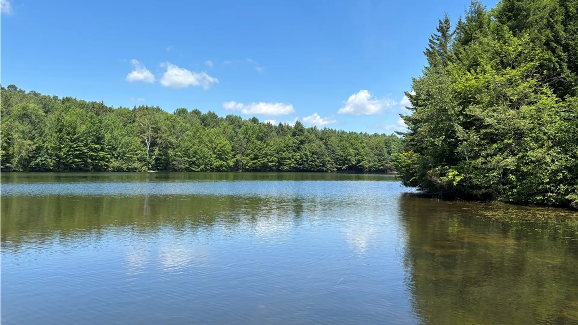 Property at 179 Sparrowhawk Lake Road, Maryland, NY 12155 44