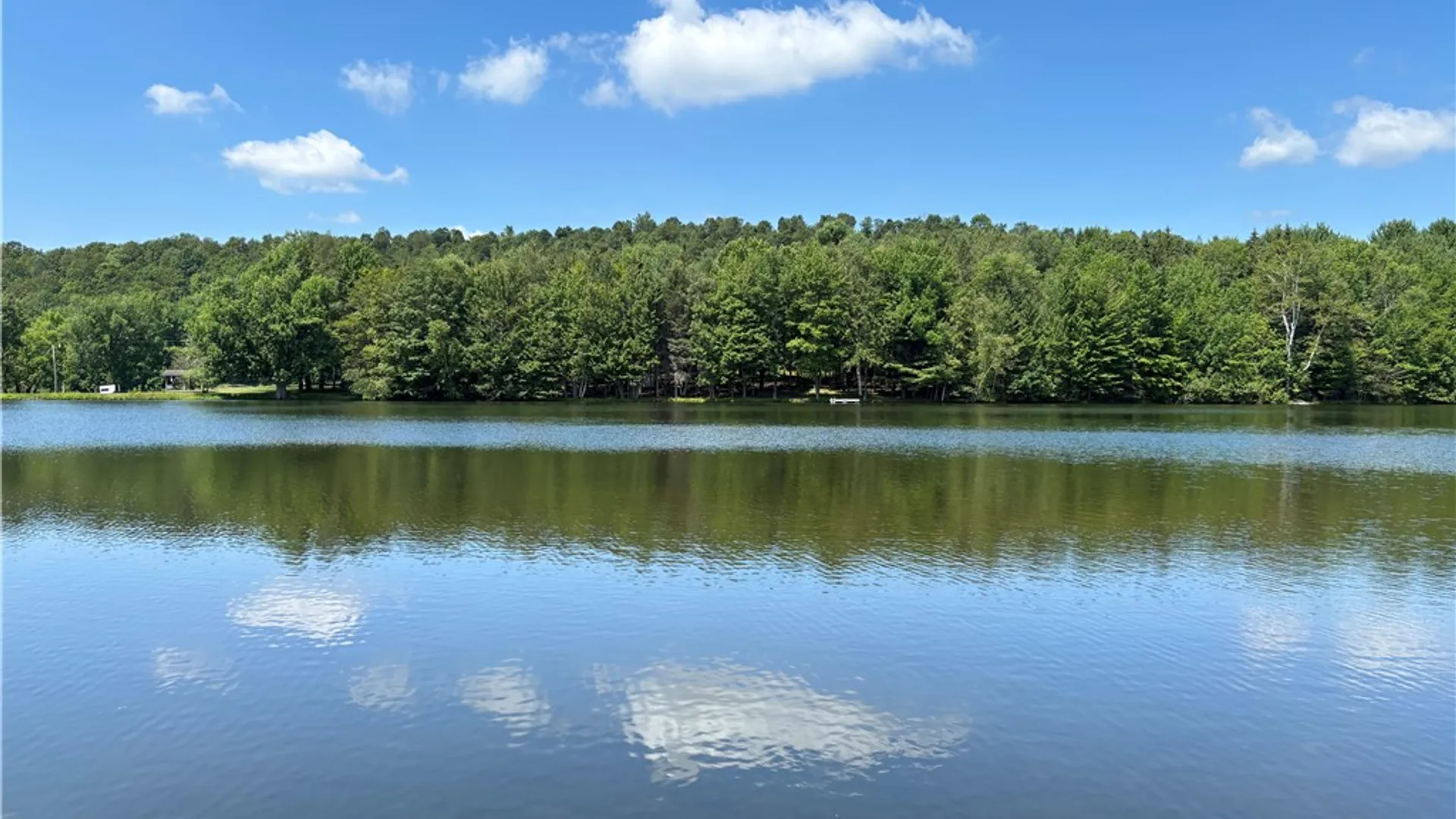 Property at 179 Sparrowhawk Lake Road, Maryland, NY 12155 45