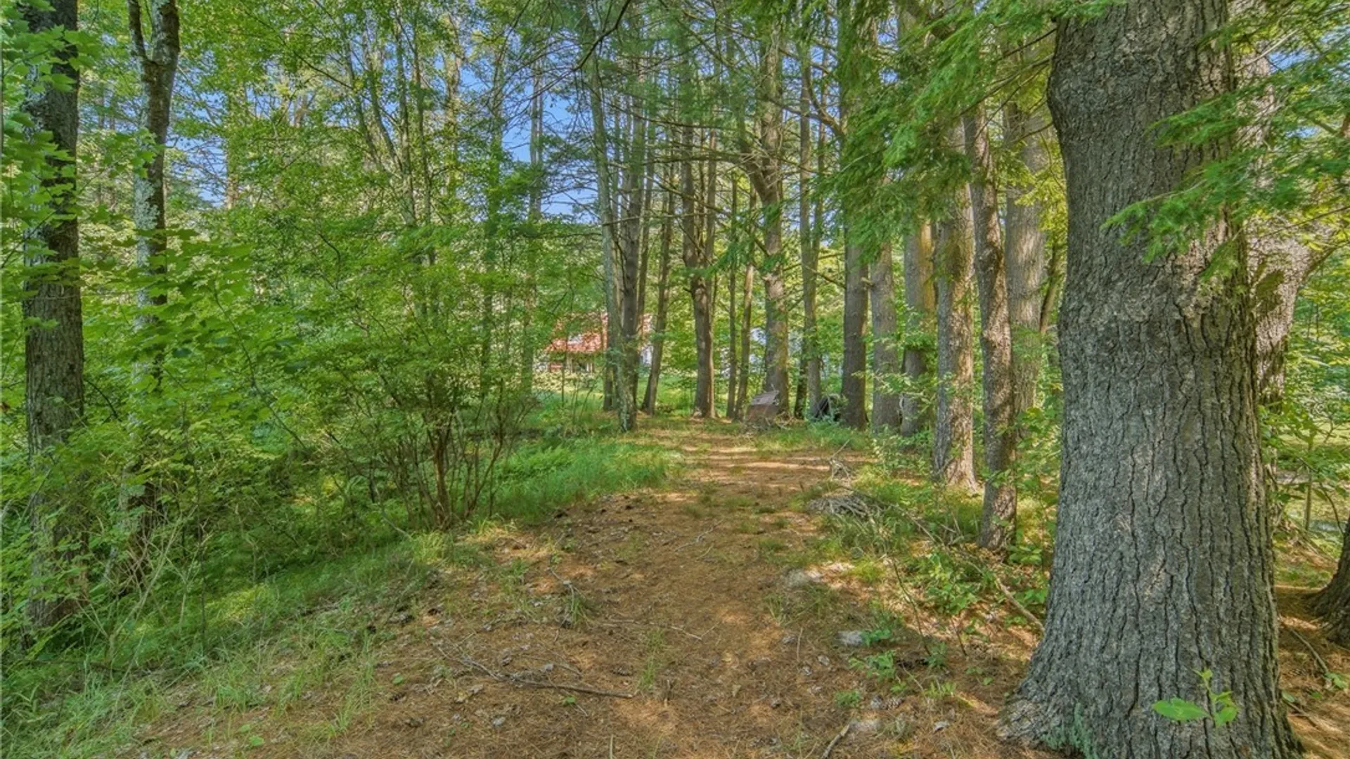 Property at 83 Knapp Road, Constantia, NY 13044 12