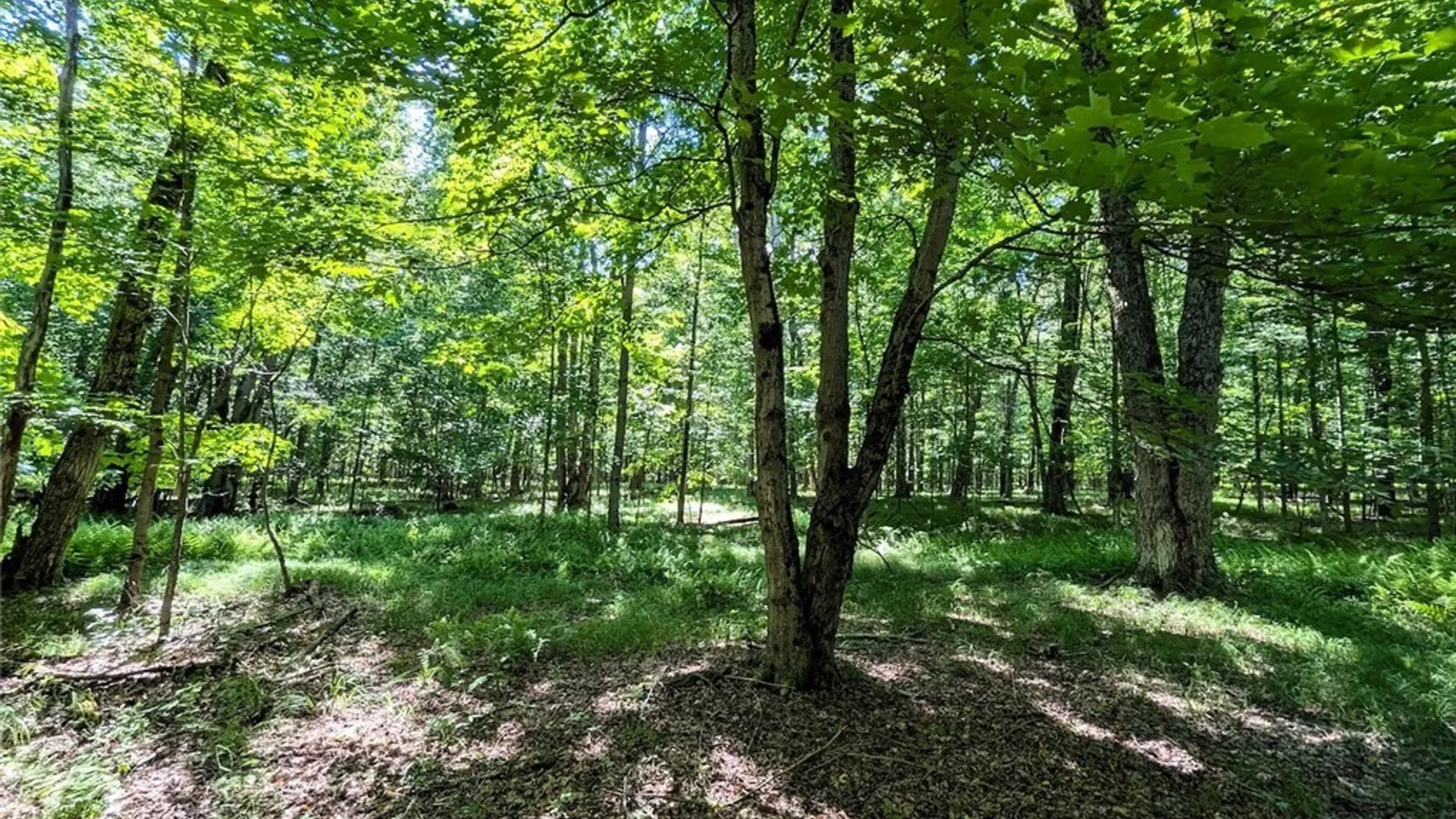 Property at 537 Maple Road, West Union, NY 14877 29